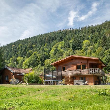 Rochesson Chalets Du Bouchot & Jacuzzi Privatif Proximite Gerardmer & La Bresse מראה חיצוני תמונה